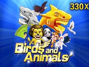 Birds And Animals